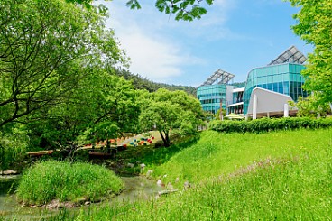 초여름 햇살이 빚어낸 6월