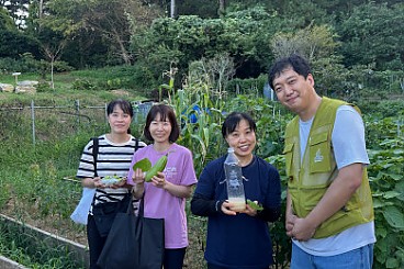 시민텃밭 친환경 배추 재배 프로젝트