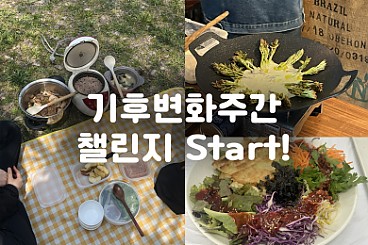 세자트라숲의 친환경 챌린지 start!