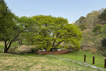 통영RCE세자트라숲, 더 새로워진 모습으로 여러분을 맞이합니다.