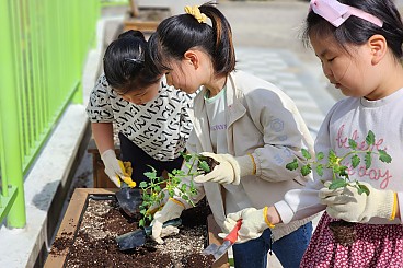 우리는 모두 연결되어있다 : 환경교육에서 지속가능발전교육으로